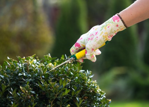 Professionals trimming hedges in a Fitzrovia garden