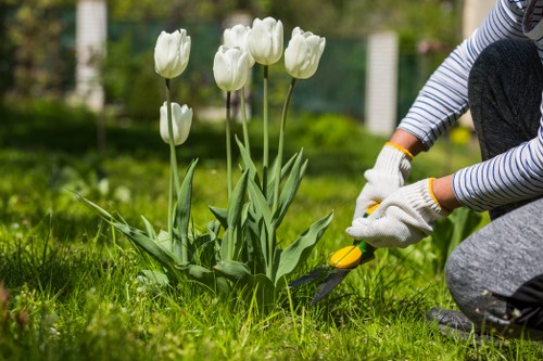 Eco-friendly lawn mowing equipment