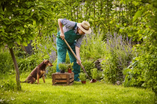 Seasonal lawn care practices for healthy grass