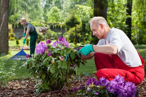 Professional landscaping services enhancing curb appeal