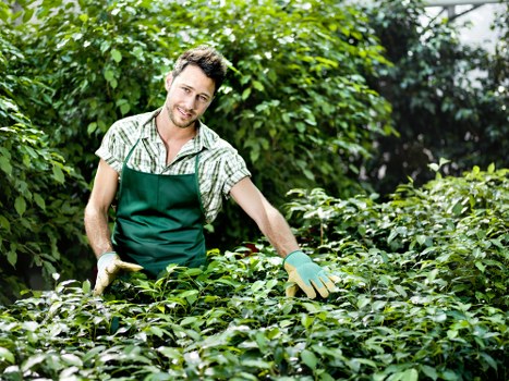 Workers preparing for a block-of-flats courtyard clean
