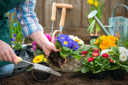 Benefits of professional tree maintenance