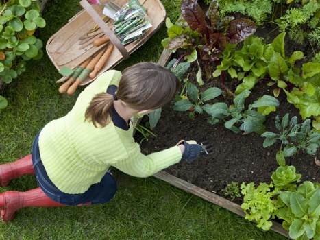 Sustainable decking practices with eco-friendly materials