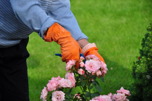 Selective pruning techniques for urban trees